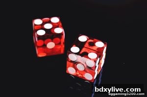 AG真人 bdxylive